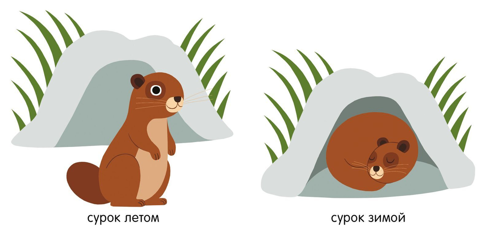 Первые книжки малыша. Мои первые слова. Животные