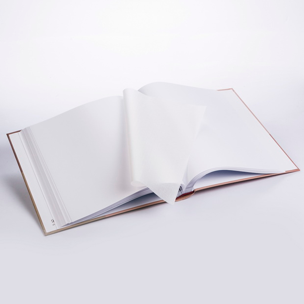 HENZO 10028 29x33/100 бел.стр Nexus ( нюдовый) ф/альбом