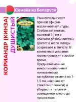 Кинза (кориандр) Душистый набор 3уп. по 2гр