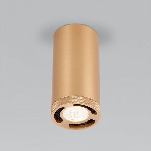 Накладной светильник Elektrostandard Lead 25033/LED