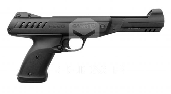 GAMO P-900