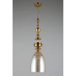 Подвесной светильник Aployt Rena APL.602.06.01
