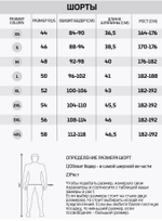 Шорты Legenda Urban серый c карманами