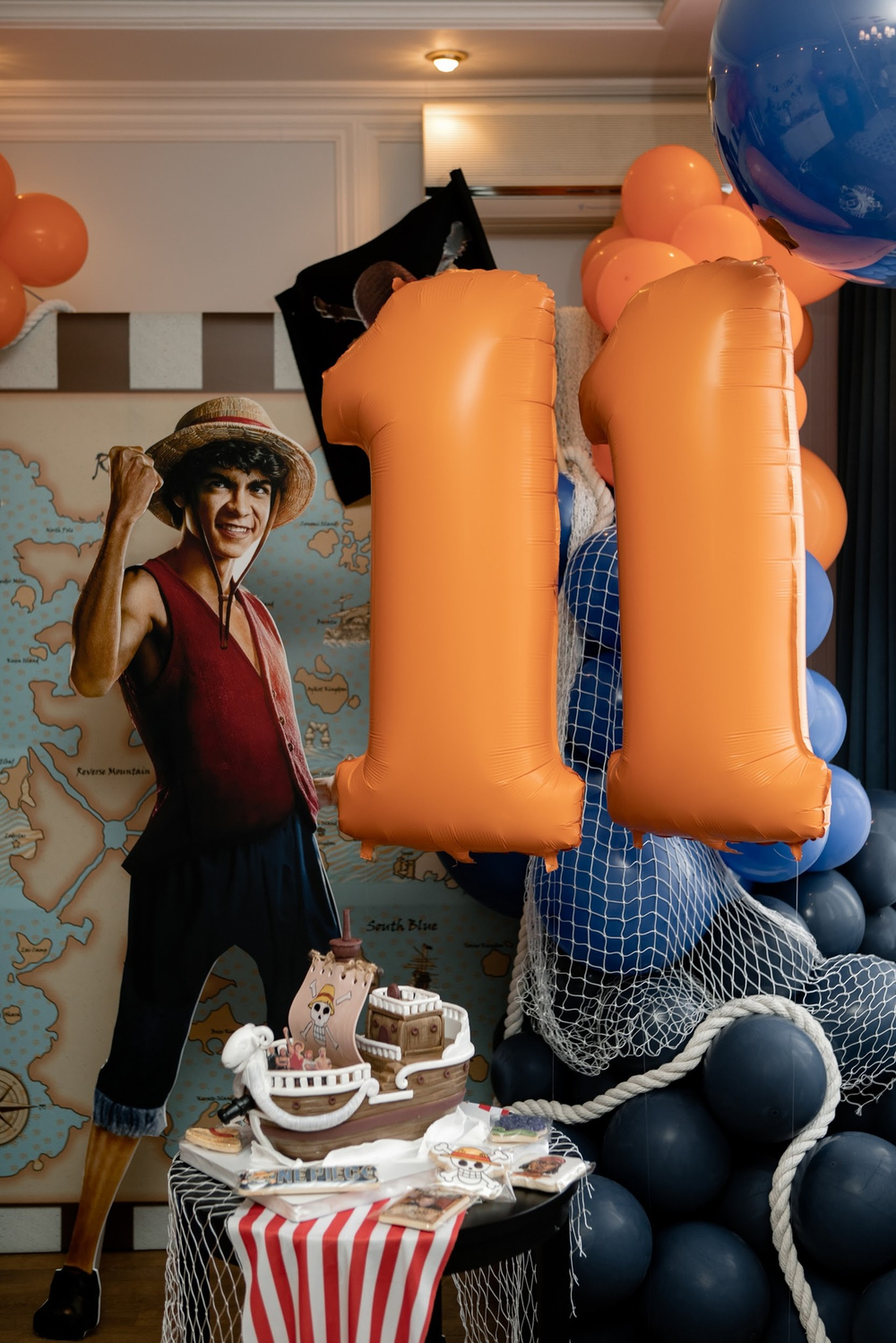 One Piece Party