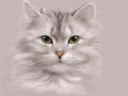 Коллекция Животные