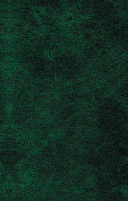 Жюстина, или Несчастья добродетели