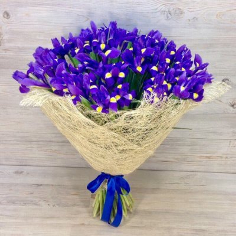 букет из 49 ириса
