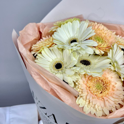 Букет из нежных гербер 9 шт