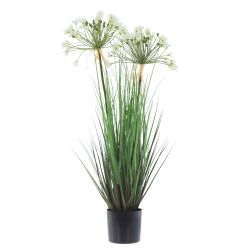 GAEM Цветочная композиция "Агапантус", L13 W12,5 H81 см