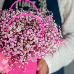 Розовая гипсофила в сумочке