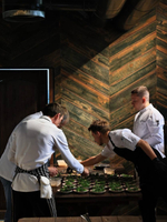 Гастроужин