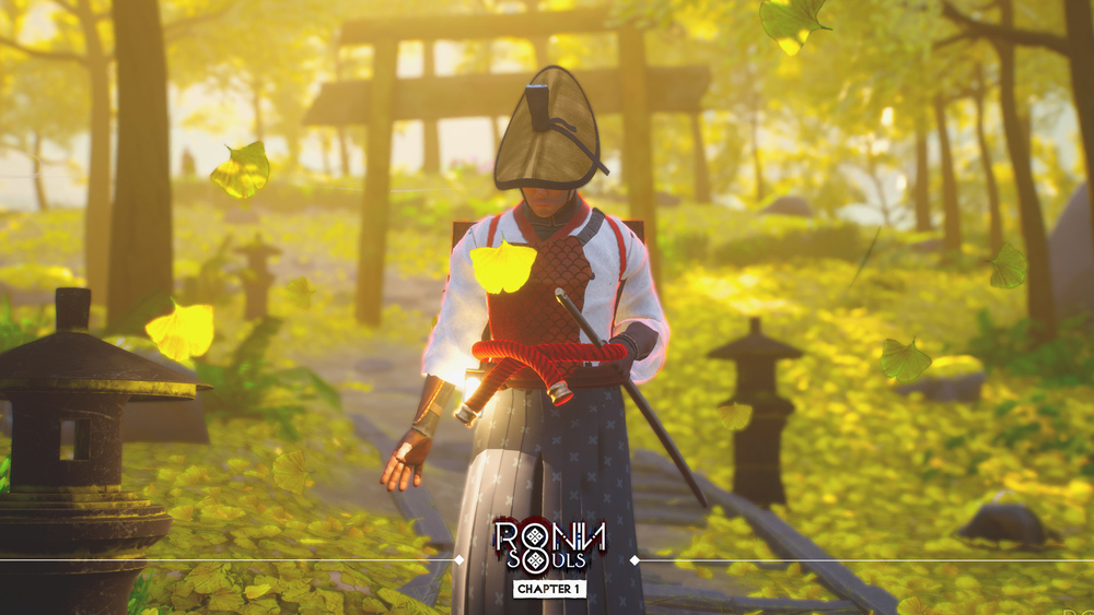 RONIN: Two Souls CHAPTER 1 (для ПК, цифровой код доступа)