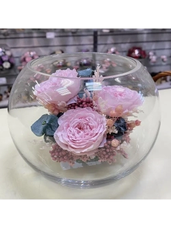 Натуральные пионы в стекле, вакуум