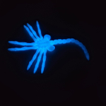 Лицехват из к/ф Чужой (FaceHugger), 3D печать, светящийся голубым