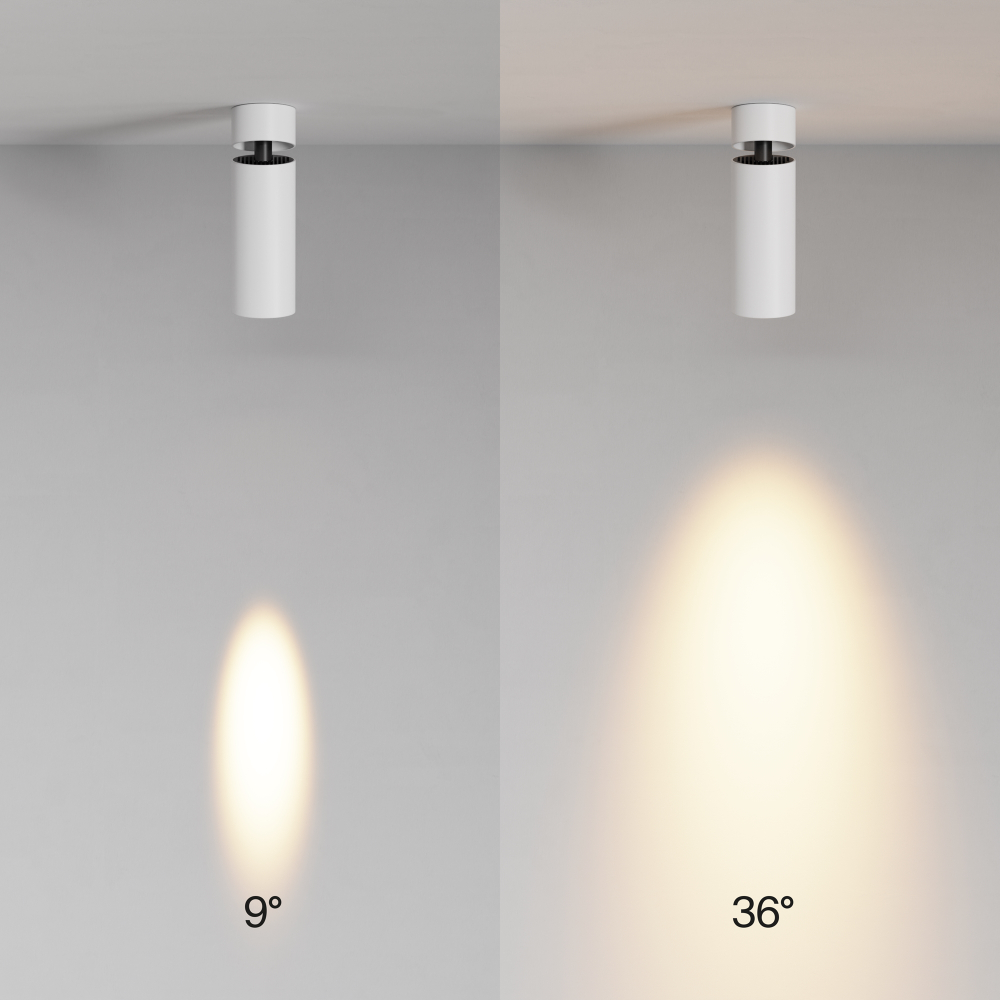 Накладной светодиодный светильник Maytoni FOCUS LED C055CL-L12W2.7K-SS-W