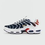кроссовки Nike Air Max Plus Tn x PSG