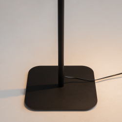 Напольный светильник (торшер) Maytoni Z001FL-L3W-1B