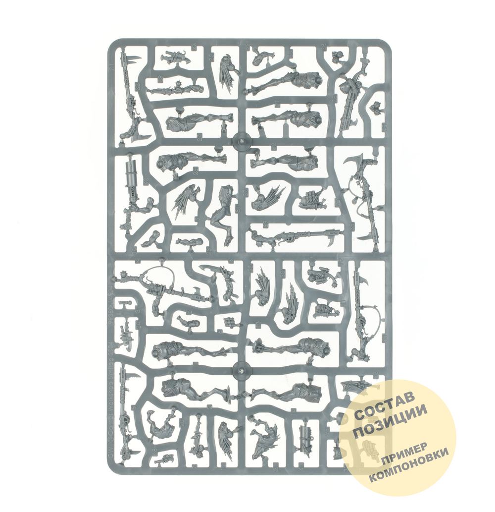 Kroot Carnivore Squad (10)