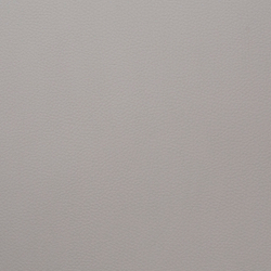 Искусственная кожа Grifon (Грифон) 13