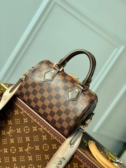 Louis Vuitton Speedy 20