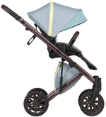 Детская коляска Anex e/type 2 в 1 wilson