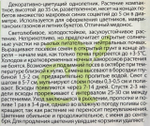 Василек Флоренция 0,2 г СМЦ-279