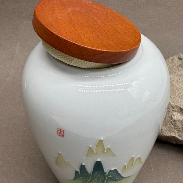 Чайница Кактус, фарфор, 500мл