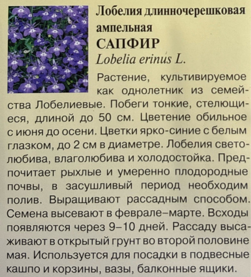 Лобелия Сапфир ампельная 0,05 г  СМЦ-30