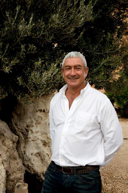 Оливковое масло BARBERA Alive Extra Virgin 1 литр Италия