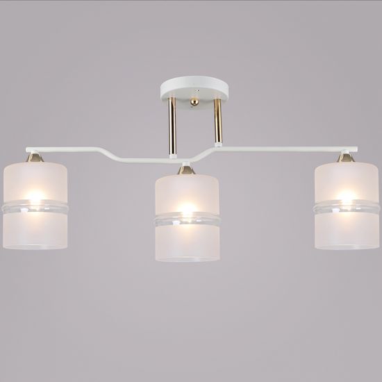 02283-0.3-03 WT+FGD светильник потолочный