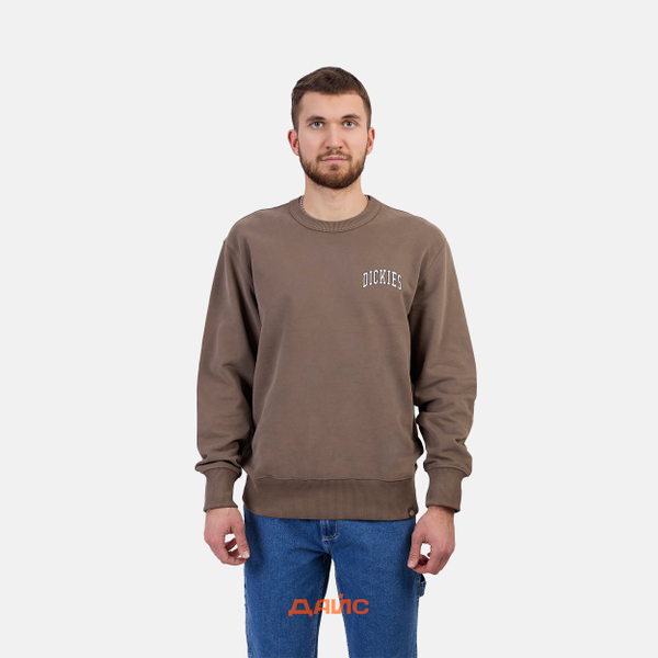 Толстовка мужская Dickies Aitkin Chest Sweatshirt артикул:DK0A4YBGJ961 - купить в магазине Дайс