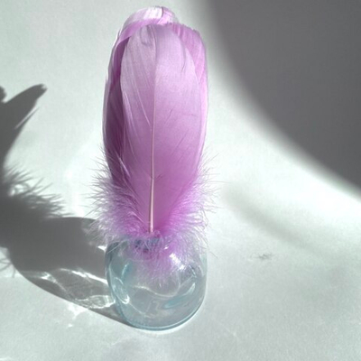 Гусиные перья люпин скругленные 20шт.