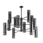 Потолочная люстра Favourite Farol 4481-24P