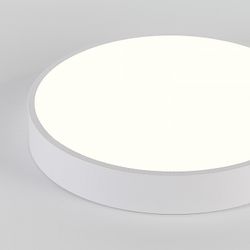 Накладной светильник Natali Kovaltseva  LED LAMPS 81112/5C