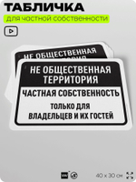 Табличка для частной территории "Не общественная территория, частная собственность", на дом, для участка, организаций, предупреждающая, 40х30 см, Silver Plane x Айдентика Технолоджи