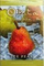 BUTA FUSION (БУТА ФЬЮЖИН)  Ice Pear 50 гр.