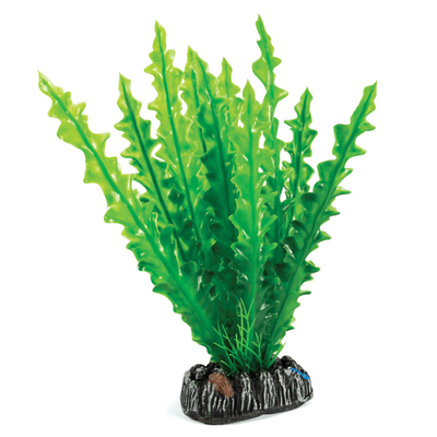 Растение "Апоногетон", зеленое, 200мм, Laguna AQUA