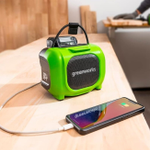 Портативная колонка Greenworks GPT-MNBS зеленый