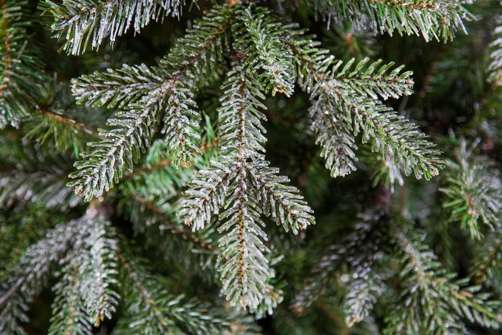 Ель 155см Black Box Хрустальная заснеженная