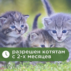 Антигельминтик спот-он АВЗ Диронет для кошек, 3 пипетки
