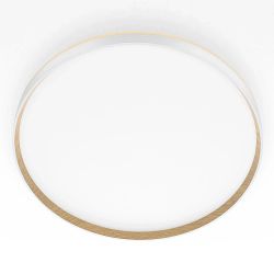 Citilux ETALON CL750500R LED RGB Светильник с пультом Белый+Бук