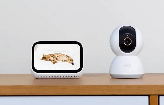 IP камера Xiaomi Smart Camera C300 (XMC01)