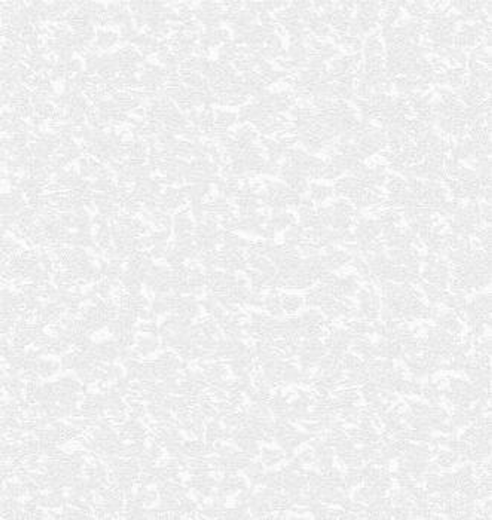 Обои 376-04 Снежный Саратов