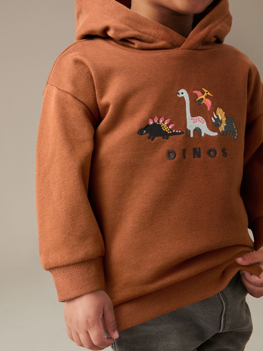 Толстовка с капюшоном для мальчика Next 608-786, Кирпичный