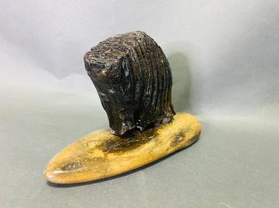 Зуб мамонта