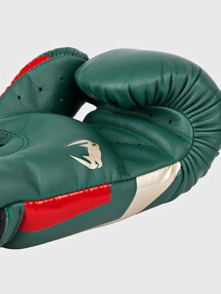 Перчатки боксерские Venum Elite Green/Gold/Red