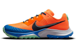 Кроссовки Nike Air Zoom Terra Kiger 7