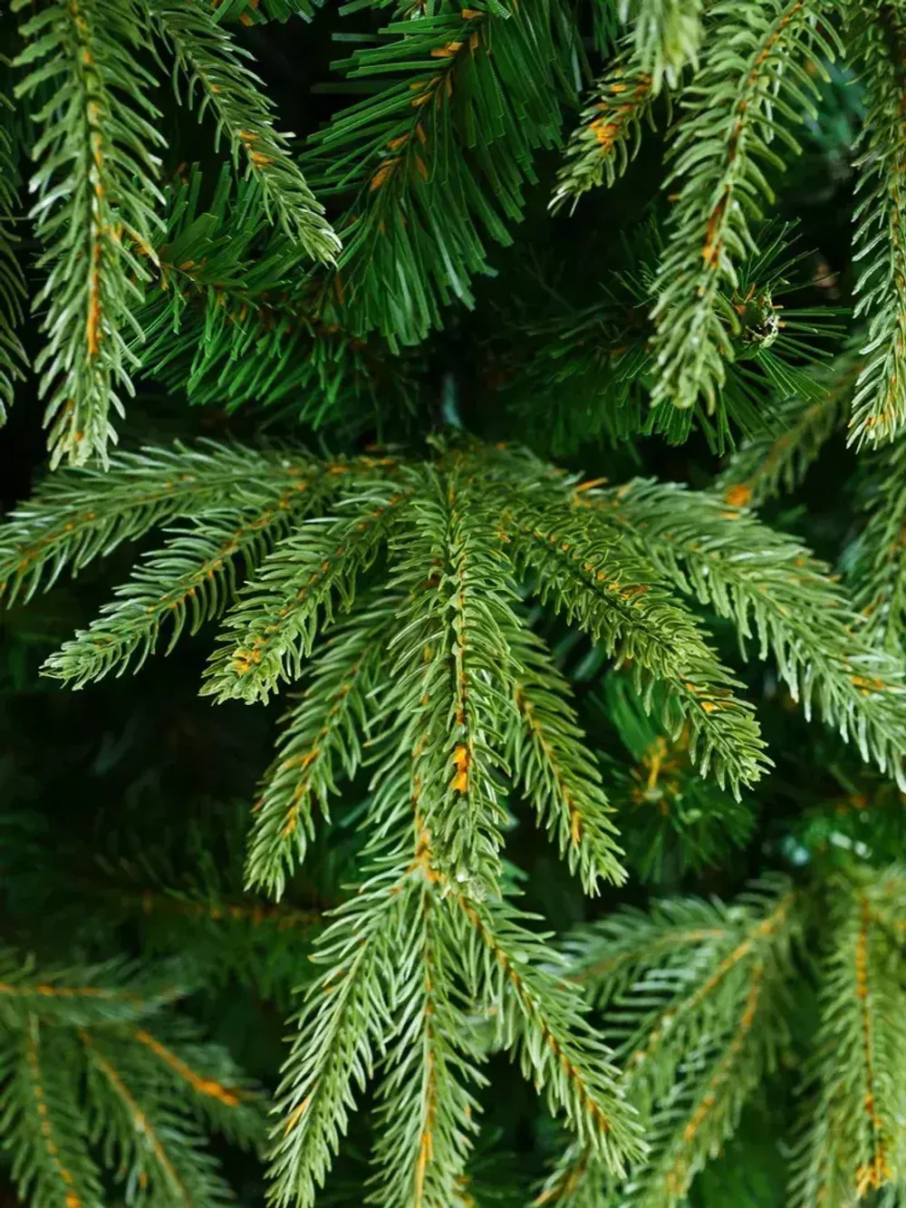 Ель искусственная «Форесто» (Литая+пвх) 180 см / 1.8 м