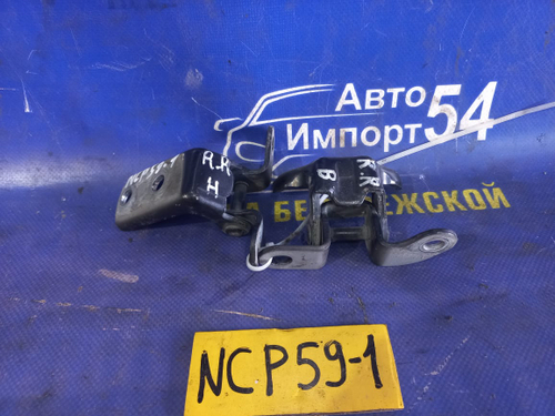 Петля двери задней правой TOYOTA SUCCEED 2003