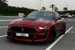 Ford Mustang GT 5.0